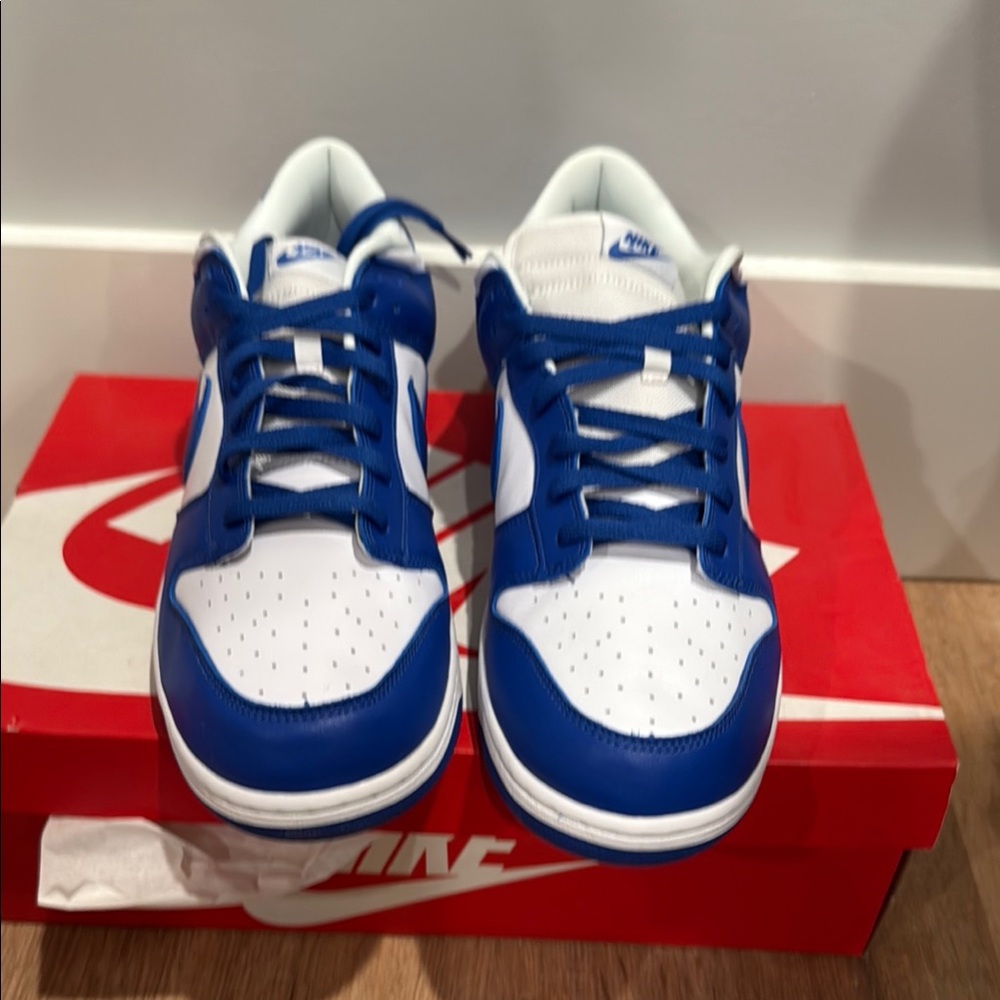 Nike Blue and White Dunk Sneakers